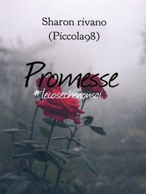 cover image of Promesse